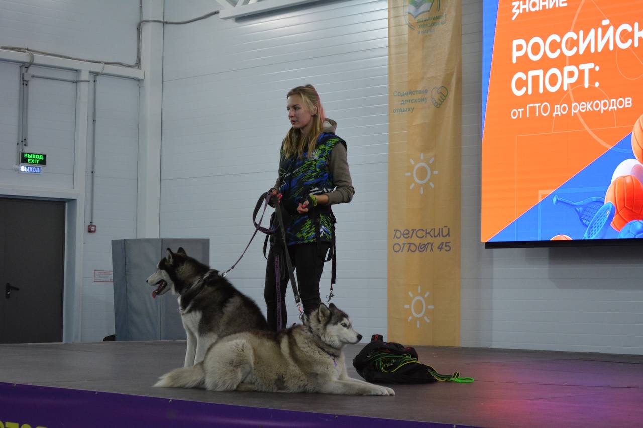 Как стать кинологом: лектор «Знания» познакомила курганских школьников с ездовыми собаками