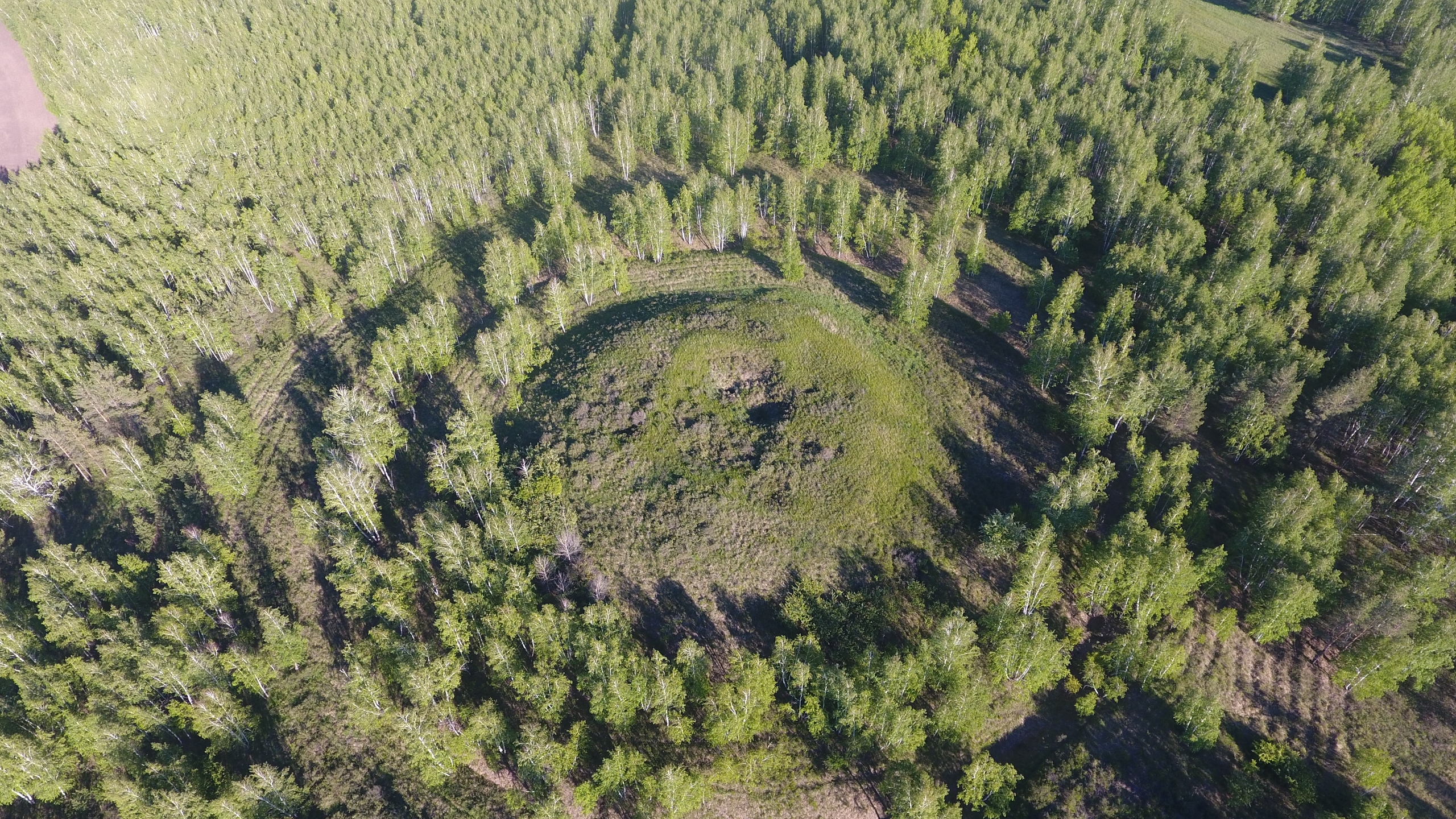 «Чёрные копатели» уничтожают историю: разграблен уникальный курган